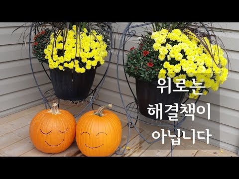 위로는 해결책이 아닙니다