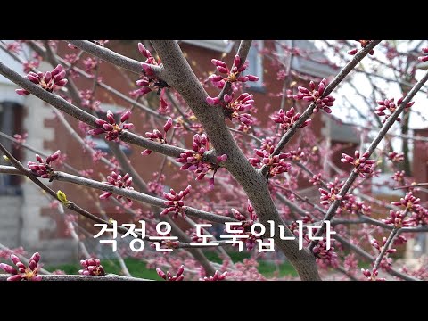 걱정은 도둑입니다