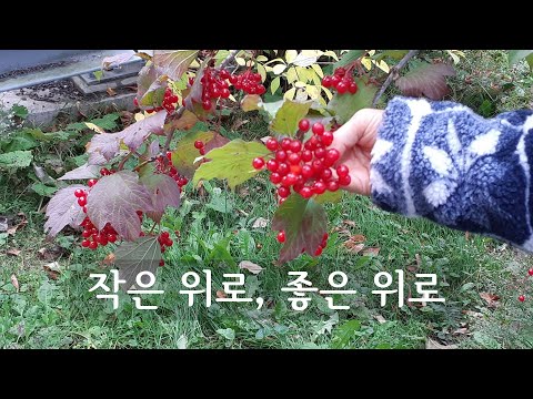 작은 위로, 좋은 위로