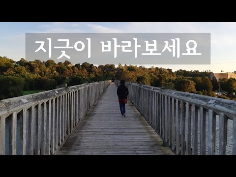 지긋이 바라보세요