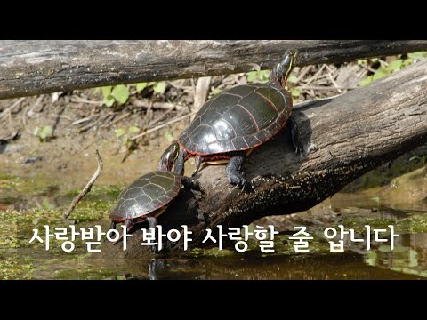 사랑받아 봐야 사랑할 줄 압니다