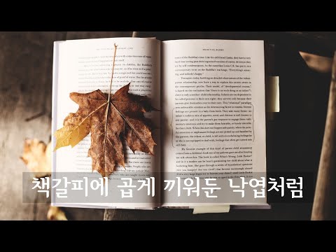 책갈피에 곱게 끼워둔 낙엽처럼