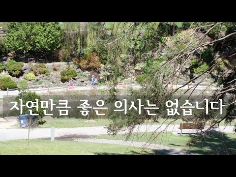 자연만큼 좋은 의사는 없습니다