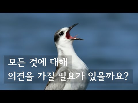 모든 것에 대해 의견을 가질 필요가 있을까요?