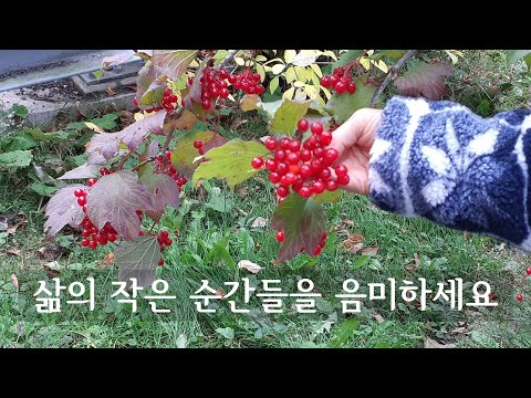 삶의 작은 순간들을 음미하세요