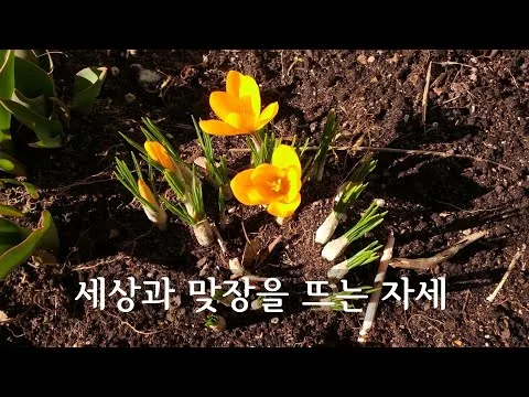 세상과 맞장을 뜨는 자세