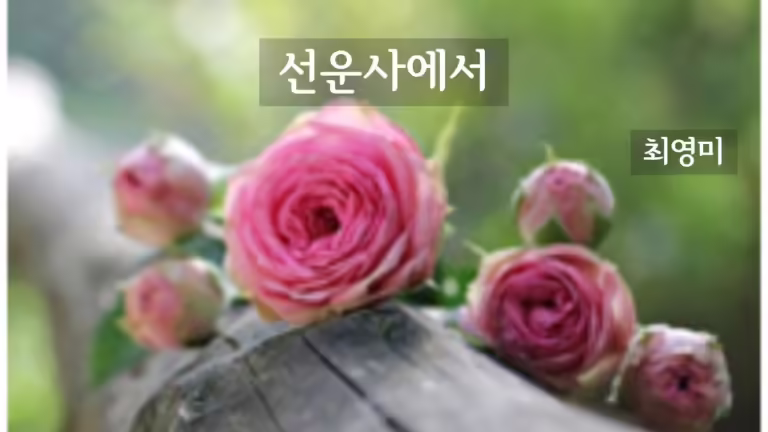 선운사에서 / 최영미
