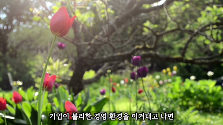 상처를 이기고 나면 더 강해진다